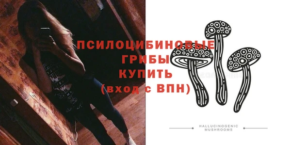 стаф Арсеньев