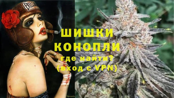 стаф Арсеньев