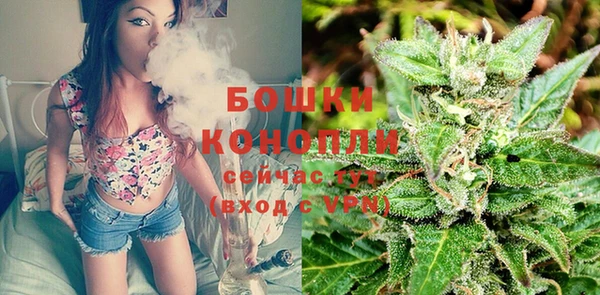 круглые Аркадак