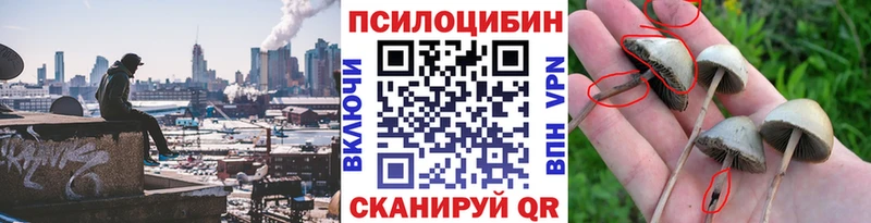 Псилоцибиновые грибы мицелий  Мирный 